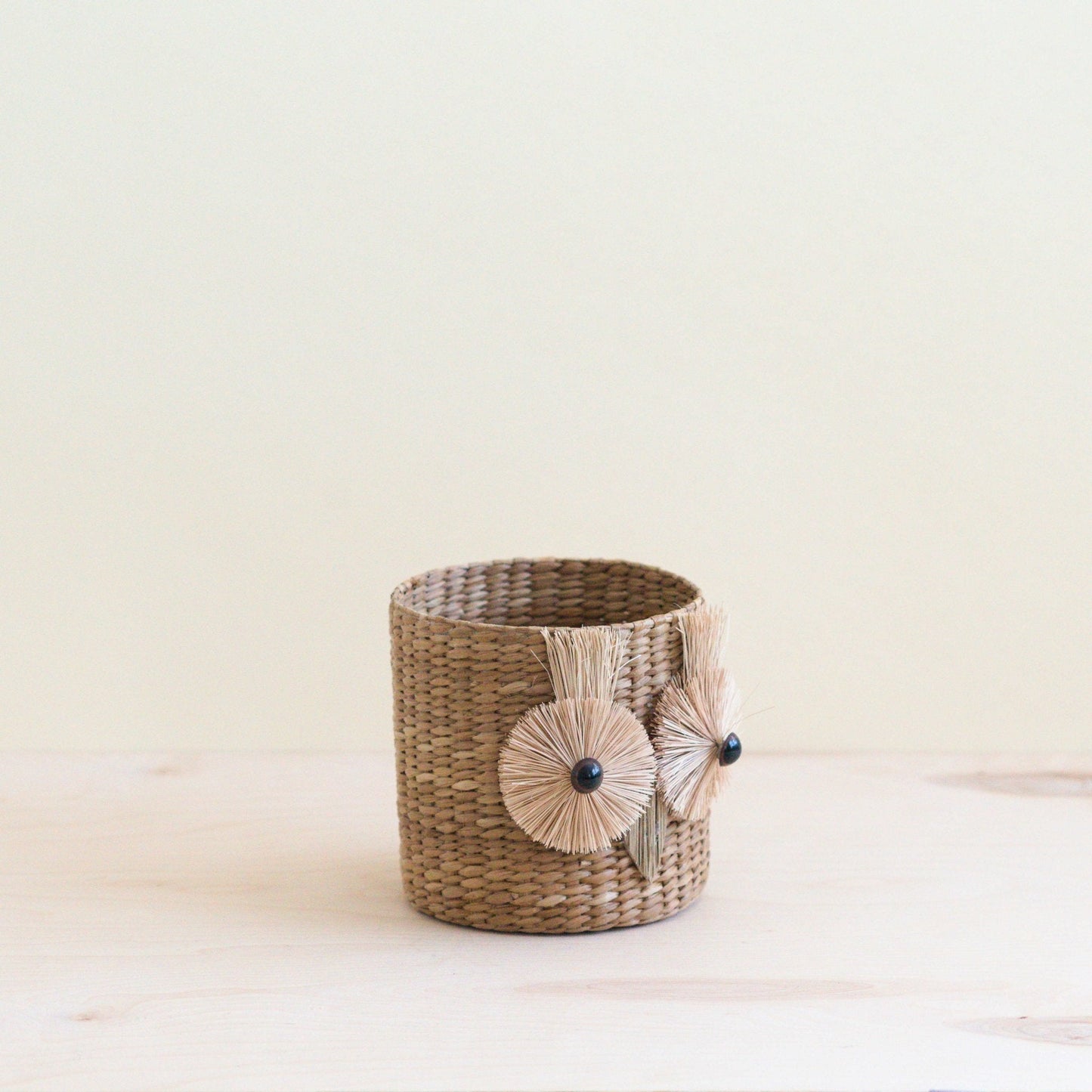 Owl 6" Seagrass Basket Planter - Succulent Plant Pot | LIKHÂ