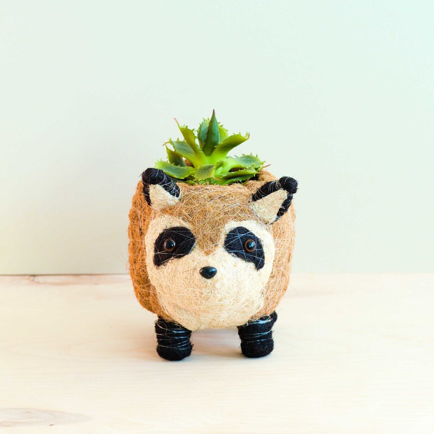 Raccoon Planter - Handmade Plant Pot | LIKHÂ