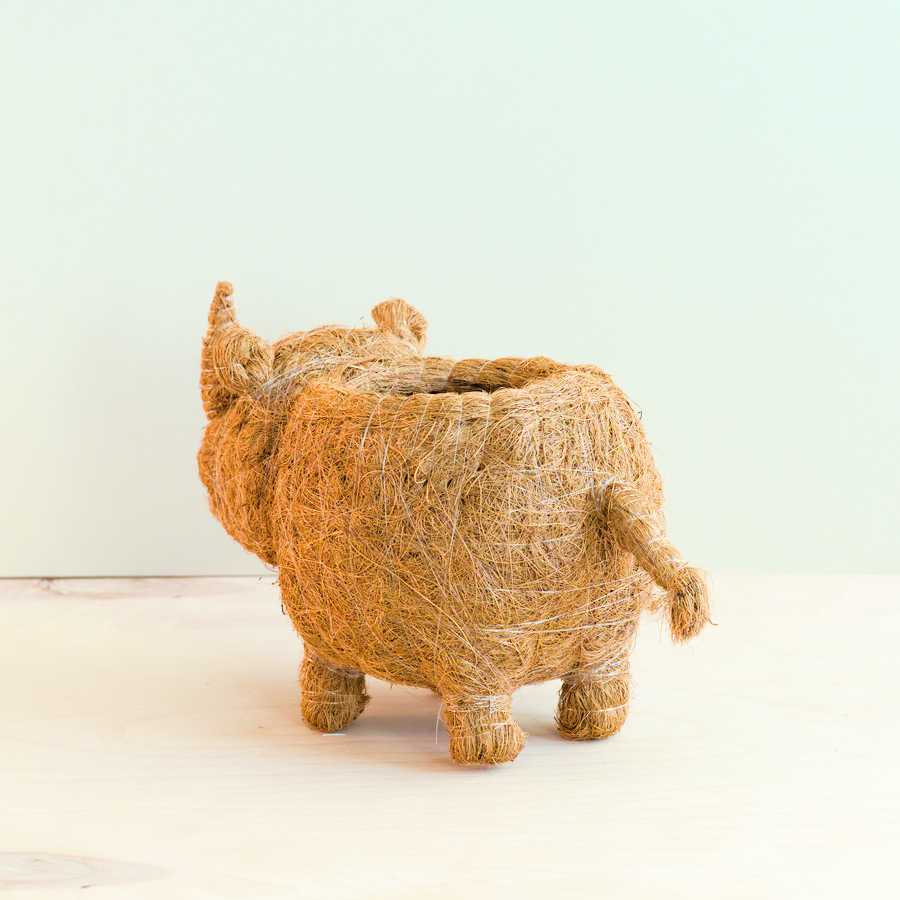 Rhino Planter - Coco Coir Pot | LIKHÂ