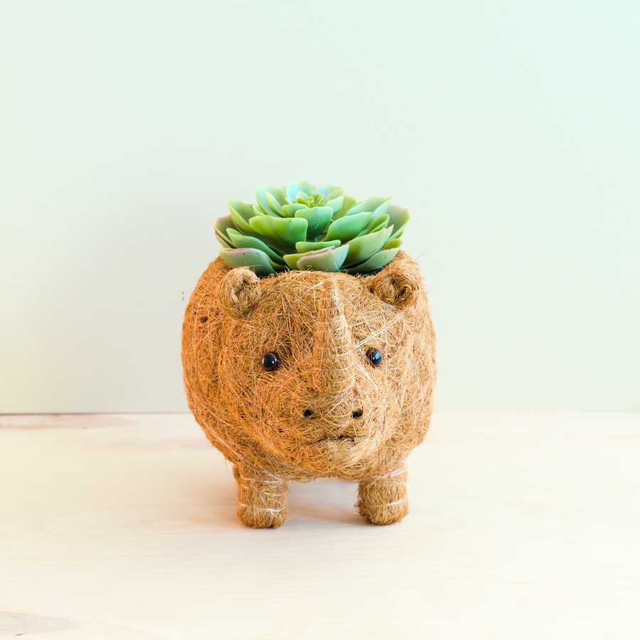 Rhino Planter - Coco Coir Pot | LIKHÂ