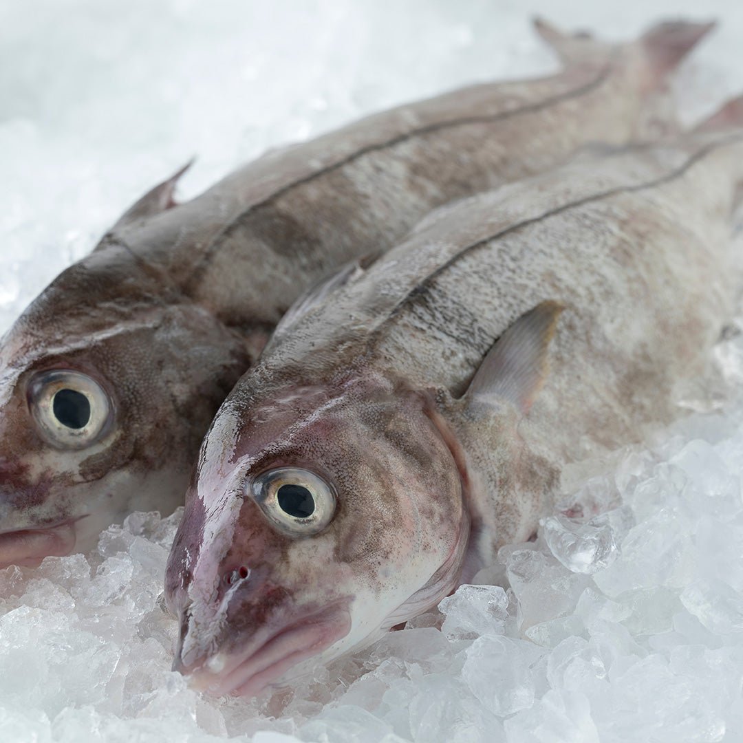 Wild-Caught Icelandic Haddock Fillets (8-10 oz.) 2-Pack